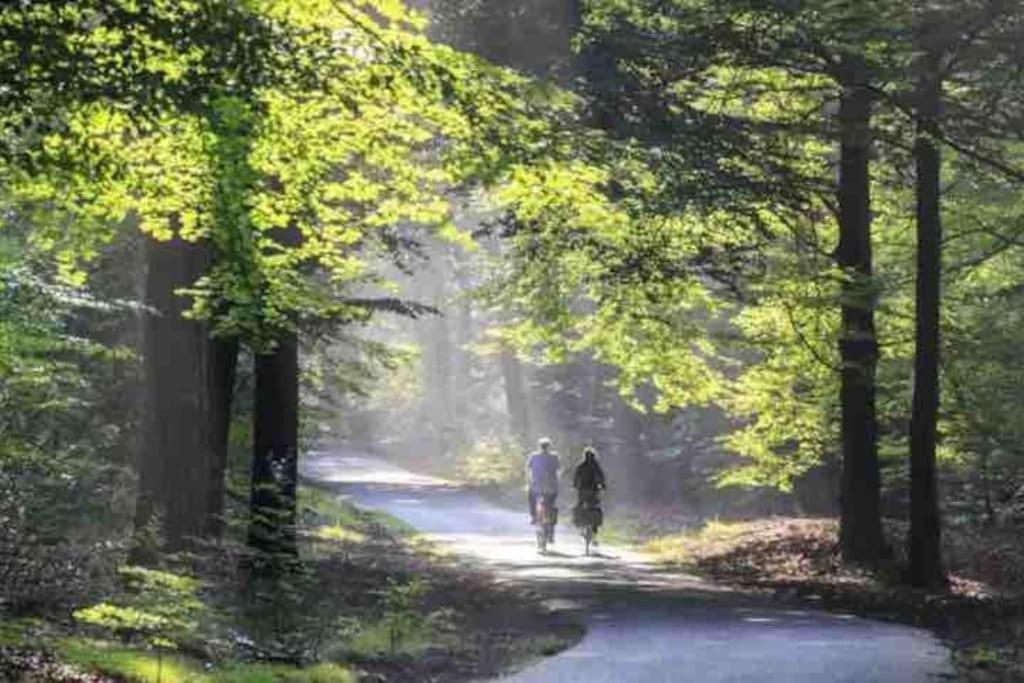 Chalet Toetje Op De Veluwe โฮนเดอร์โล ภายนอก รูปภาพ